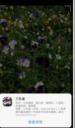 jovi语音助手app icon图 jovi语音助手