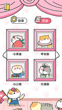 喵喵记账安装