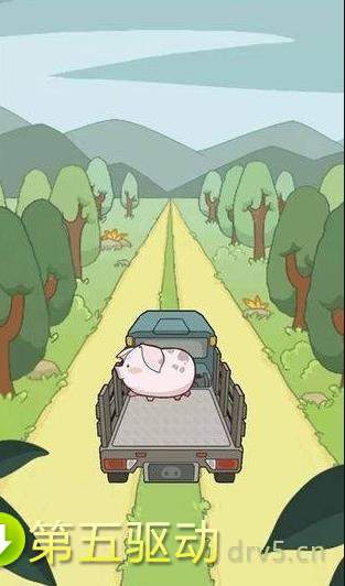 全民养金猪