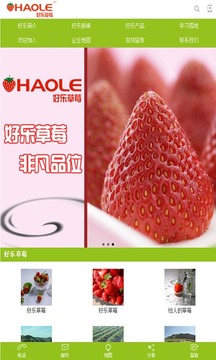 好乐草莓