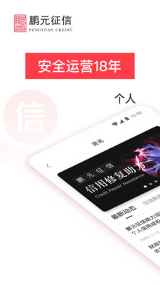 鹏元征信