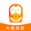 大鹅贷款app