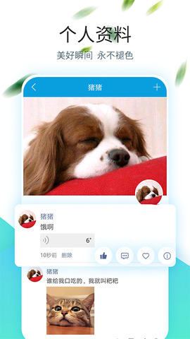 云信聊天app