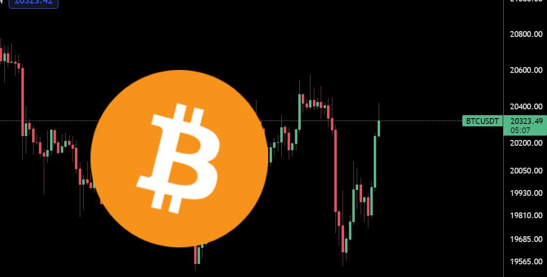 美股连3日收跌、比特币急挫再回2万美元！BTC登8月表现最差资产