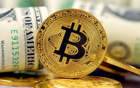 11年买了6000块钱比特币(11年买了几百个比特币)-第1张图片-腾赚网