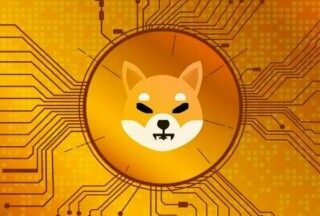马云正式布局pi币(pi币)