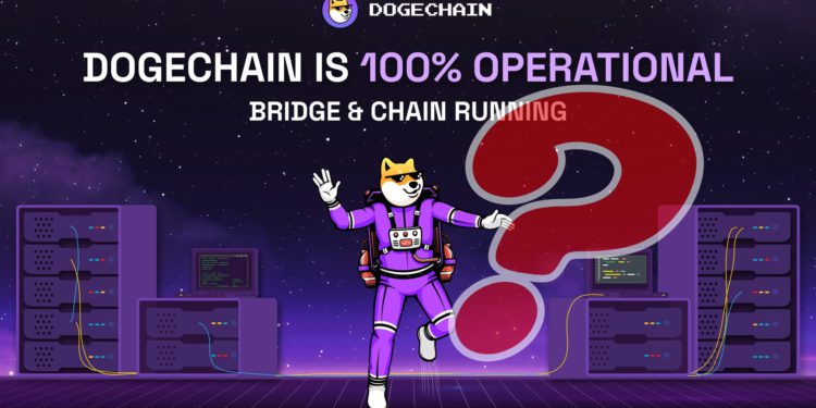 狗狗链遭黑停机疑云！开发者：bug误铸970万枚wDoge给他-第1张图片-比特派钱包