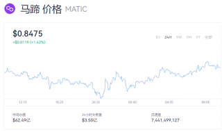 一个MATIC币最新币价多少钱？今日马蹄币行情资讯