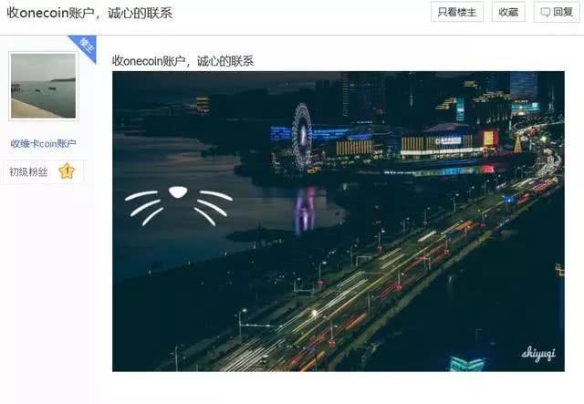 就在今年，还有人在网上公开收集维卡币账号。