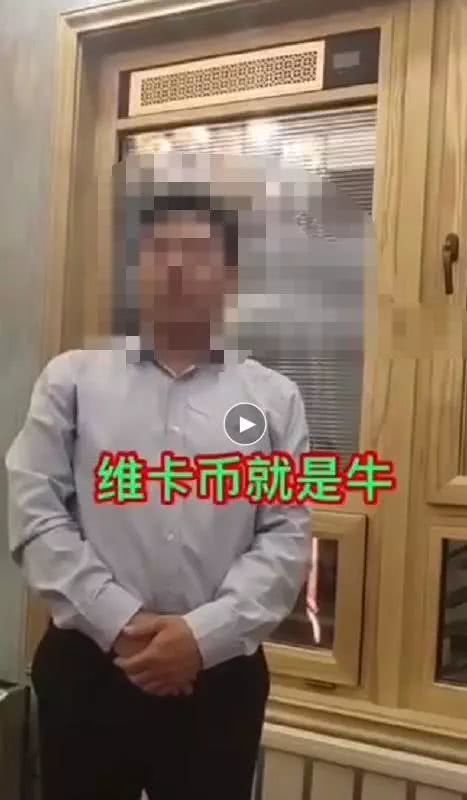 但不论文中如何夸耀维卡币只涨不跌