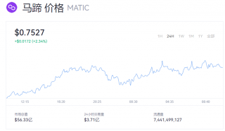 MATIC币一个值多少美元？马蹄币最新价格查询