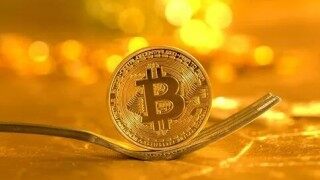 狗狗币每年增发50亿属于谁 - 狗狗币每年增发50亿去哪了