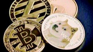DOG交易所最新下载_DOG交易所下载官方