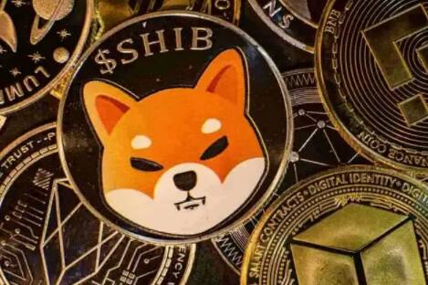 派币最新价值 - 派币现在价值