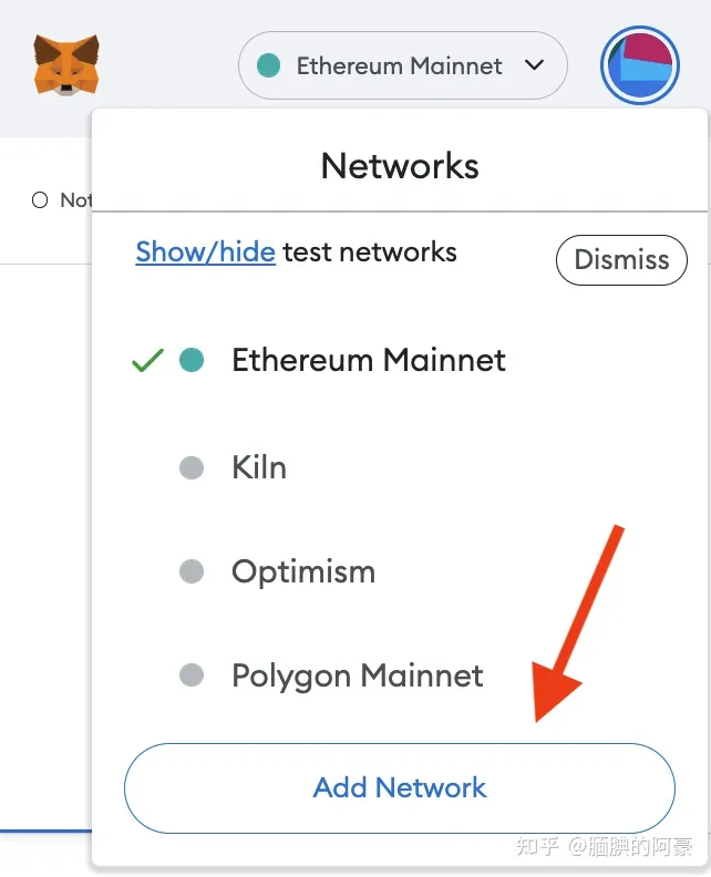 core中本聪币怎么挖？MetaMask小狐狸钱包添加Core币教程-第3张图片-币安下载
