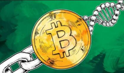 ok网数字货币交易所app下载_币安app数字货币交易平台appV6.3.34-第5张图片-币安下载 ok网数字货币交易所app下载_币安app数字货币交易平台appV6.3.34-第5张图片-币安下载