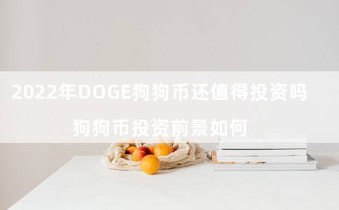 2022年DOG狗狗币还值得投资吗（狗狗币投资前景如何）-第1张图片-欧易下载