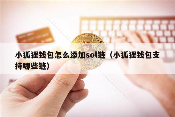 小狐狸钱包怎么添加sol链（小狐狸钱包支持哪些链）-第1张图片-欧易下载