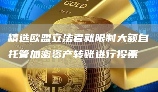 精选欧盟立法者就限制大额自托管加密资产转账进行投票1