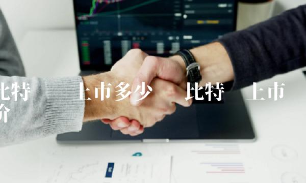 比特币刚上市多少钱1