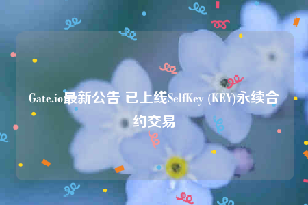 Gate.io最新公告 已上线SelfKey (KEY)永续合约交易-第1张图片-币安下载