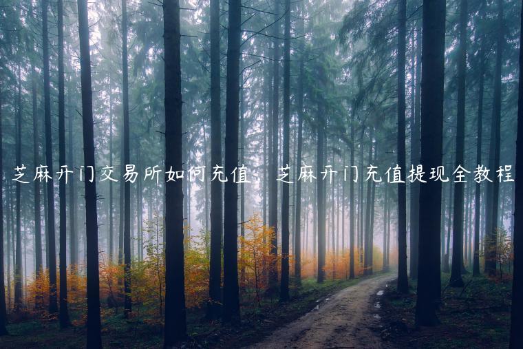 芝麻开门交易所如何充值，芝麻开门充值提现全教程-第1张图片-欧易下载