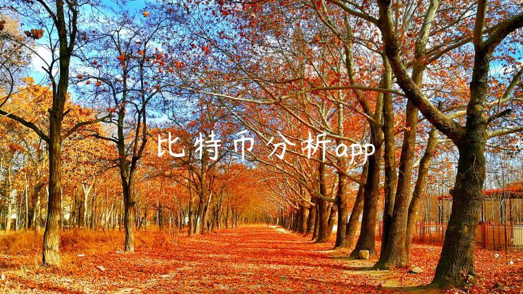 比特币分析app-第1张图片-欧易下载