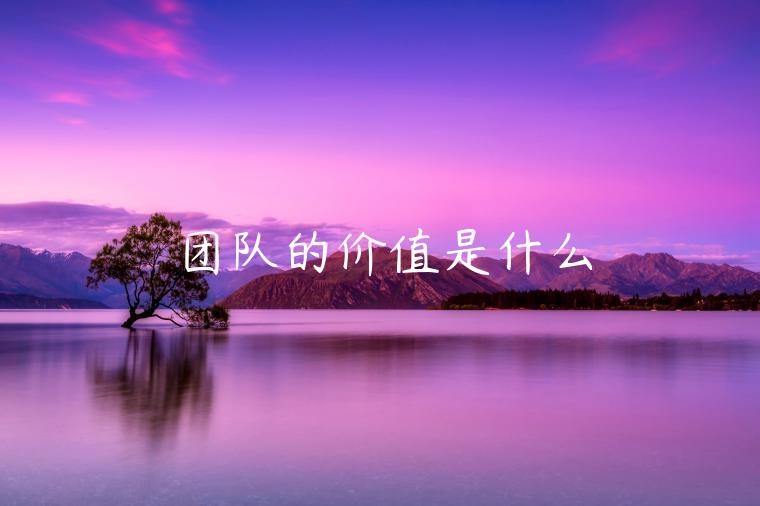 团队的价值是什么-第1张图片-欧易下载