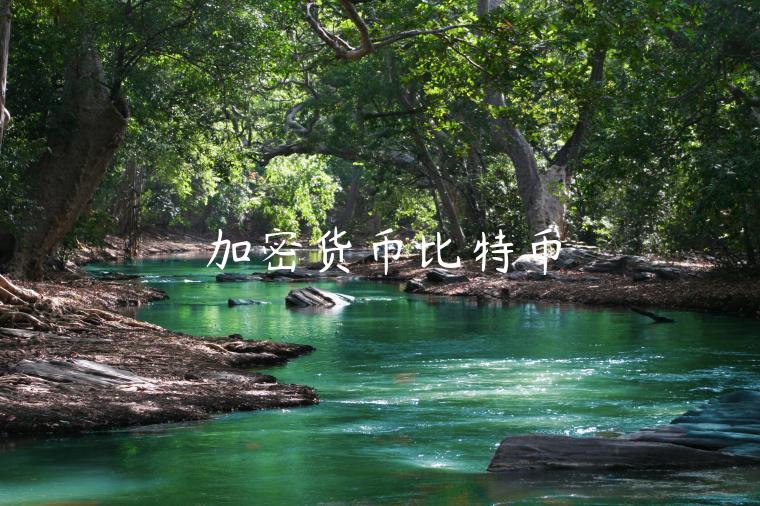 加密货币比特币-第1张图片-欧易下载