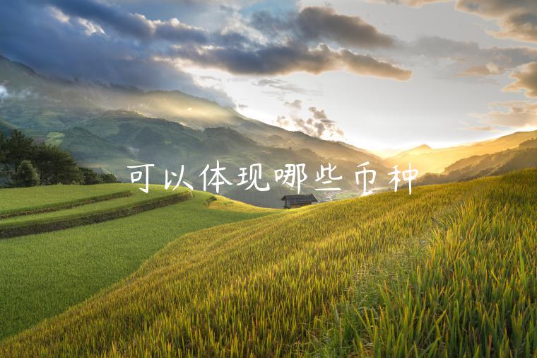 可以体现哪些币种-第1张图片-欧易下载