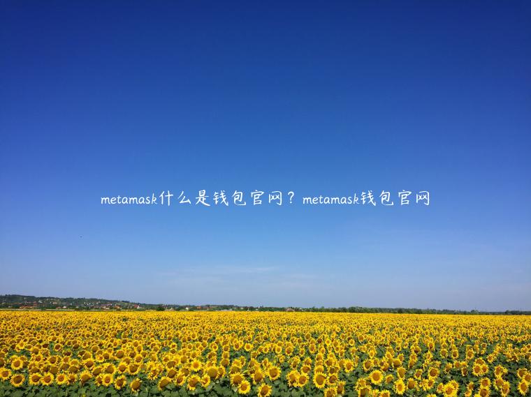 mtamask什么是钱包官网？mtamask钱包官网-第1张图片-欧易下载