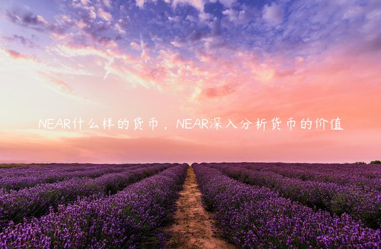 NAR什么样的货币，NAR深入分析货币的价值-第1张图片-欧易下载