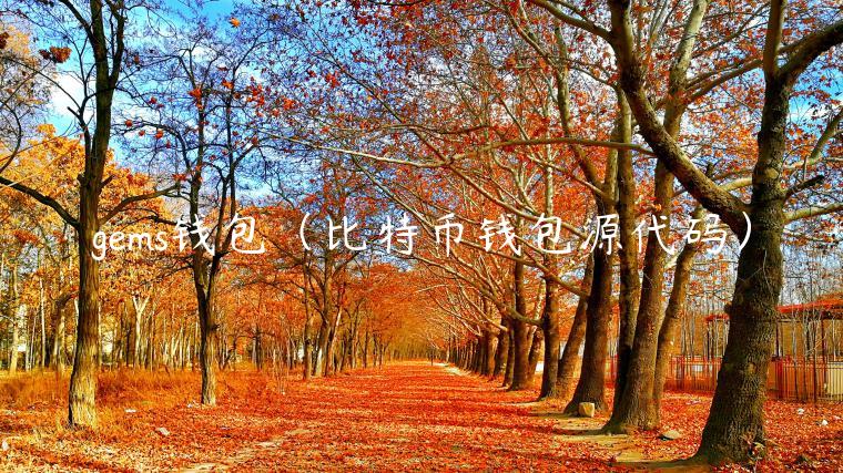 gms钱包（比特币钱包源代码）-第1张图片-欧易下载