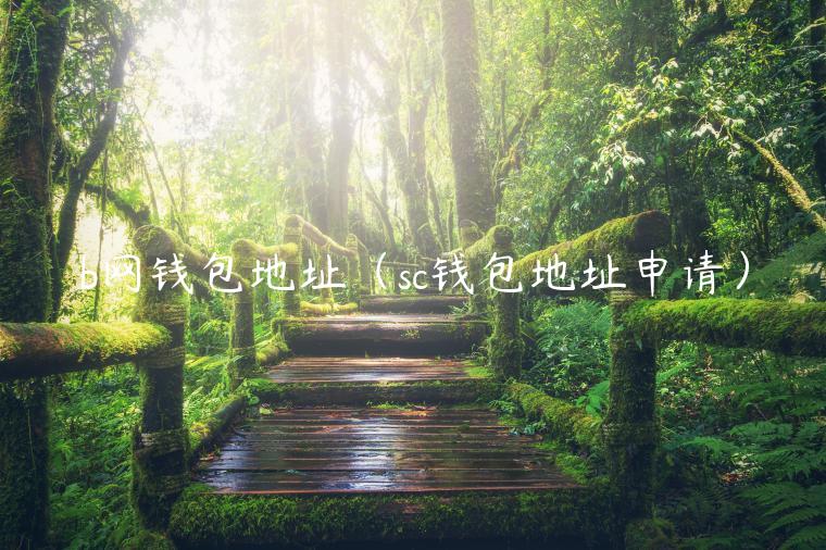 b网钱包地址（sc钱包地址申请）-第1张图片-欧易下载