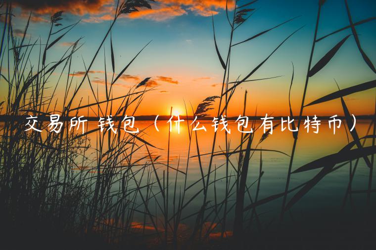 交易所 钱包（什么钱包有比特币）-第1张图片-欧易下载