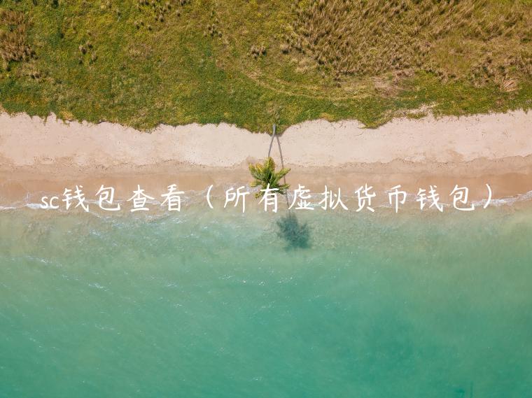 sc钱包查看（所有虚拟货币钱包）-第1张图片-欧易下载