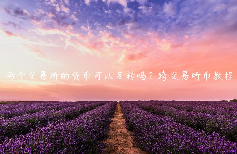两个 交易平台的货币可以互转吗？跨 交易平台币教程-第1张图片-币安下载