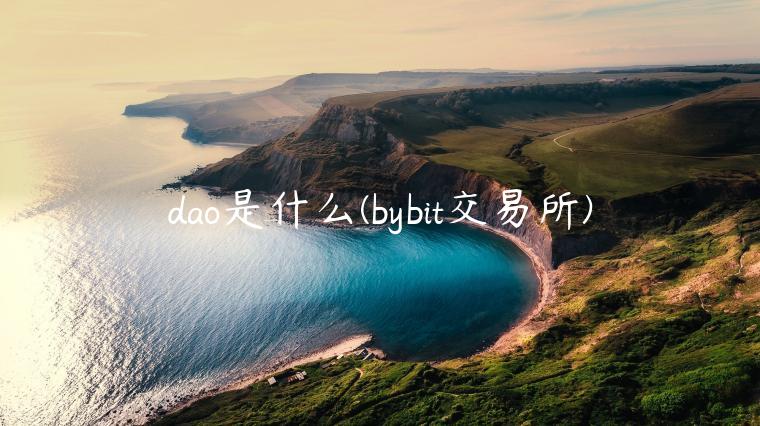 dao是什么 - bybit 交易平台-第1张图片-币安下载