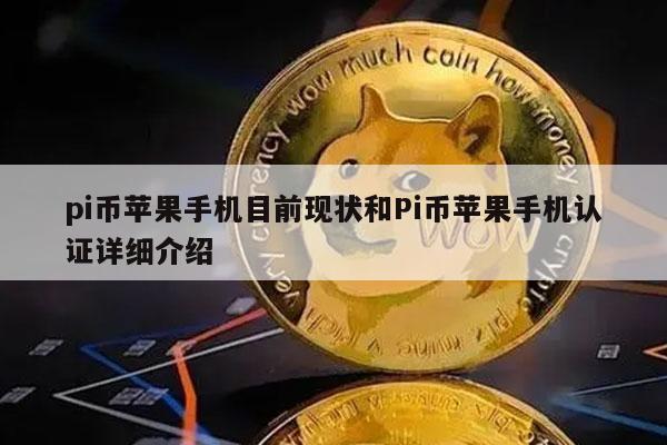 pi币苹果手机目前现状和Pi币苹果手机认证详细介绍-第1张图片-币安下载