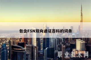 包含FSN双向通证百科的词条