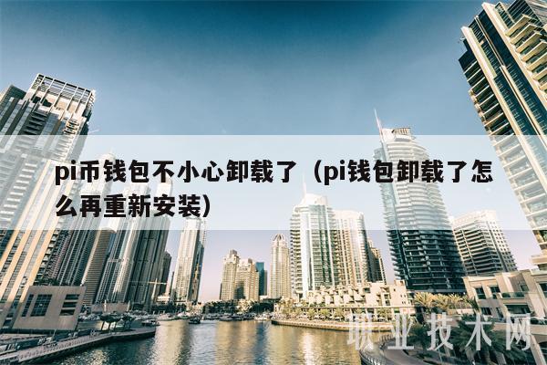 pi币钱包不小心卸载了（pi钱包卸载了怎么再重新安装）-第1张图片-币安下载