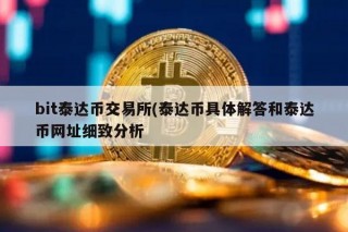 bit泰达币交易所 - 泰达币具体解答和泰达币网址细致分析