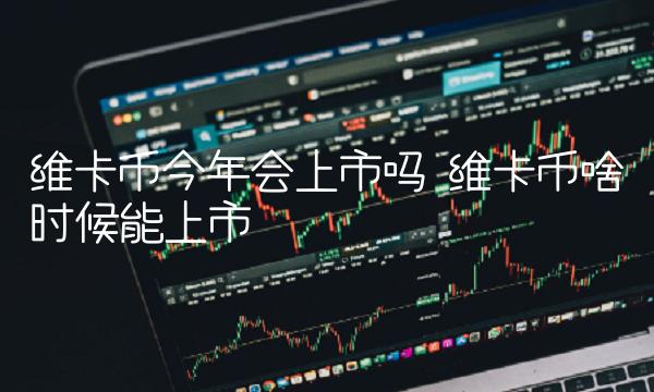 维卡币今年会上市吗-第1张图片-币安下载