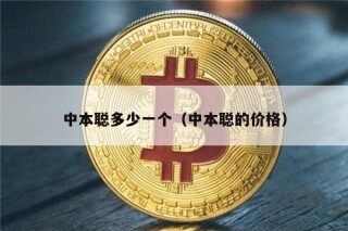 中本聪多少一个（中本聪的价格）
