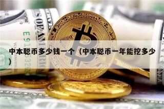 中本聪币多少钱一个（中本聪币一年能挖多少）
