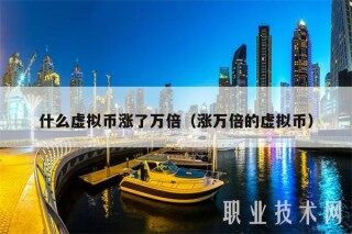 什么虚拟币涨了万倍（涨万倍的虚拟币