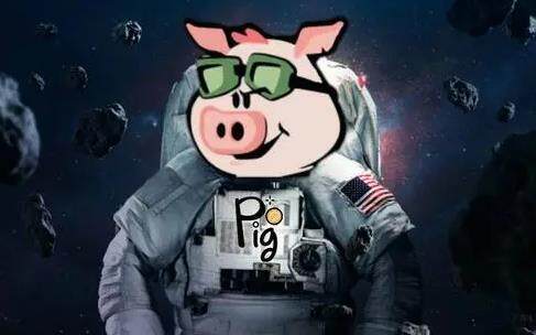pig币下载官方app下载 pig币虚拟币交易平台官网-第1张图片-币安下载