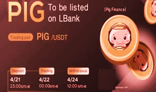 pig币交易所app下载 pig币邀请码有什么作用-第1张图片-币安下载