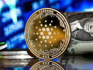 rbp币 _ rbp币透明实时监控