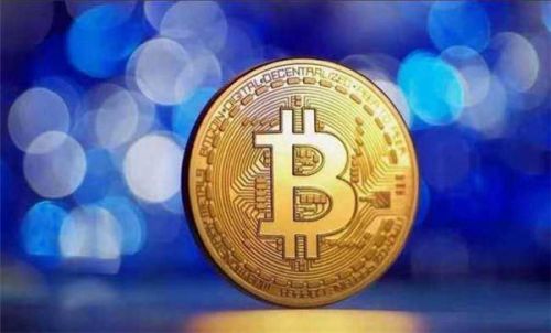 NAR是什么币?NAR币的社区和开发者支持情况?